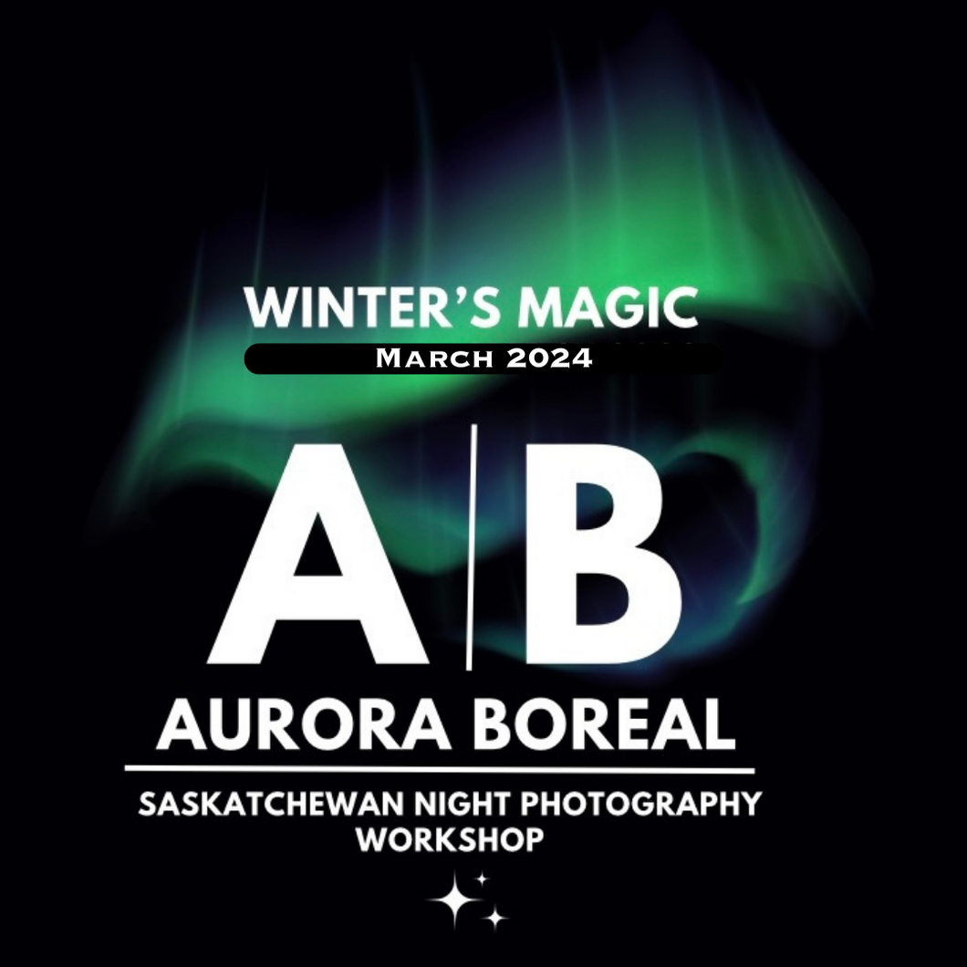 Aurora Boreal - March 15-17, 2024 Workshop